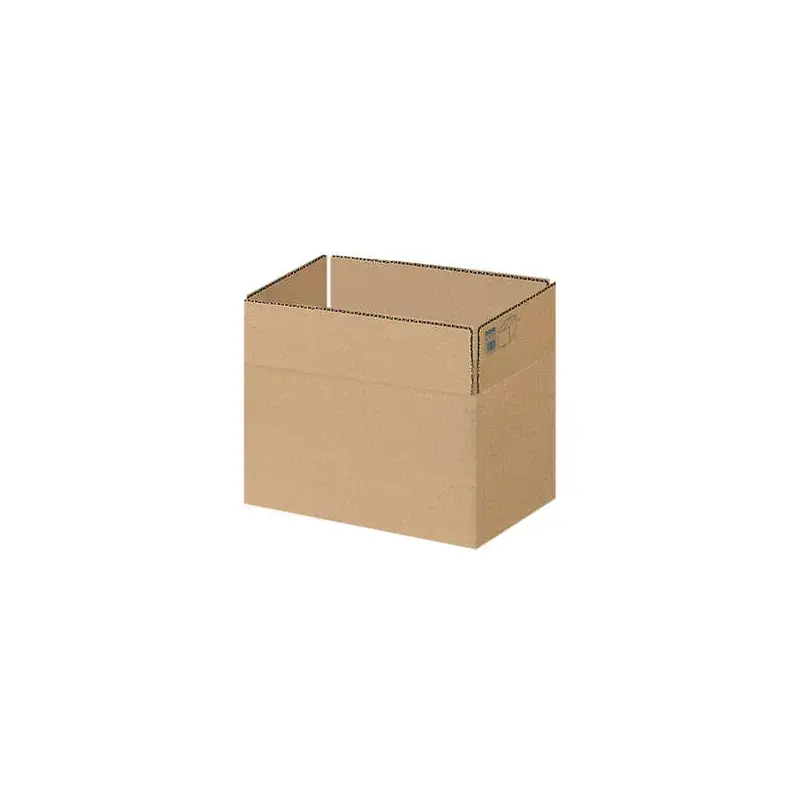 Dohe Cajas de Embalaje de 4 Solapas - Medidas 300x200x150mm - Carton de Canal 3mm - Resistente y Duradero - Ideal para Envios y