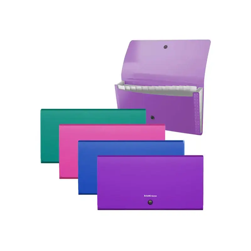 Erichkrause Clasificadores Matt Vivid - 12 Fundas - Tamaño Cheque - Colores Surtidos | Ahorro Imprimiendo