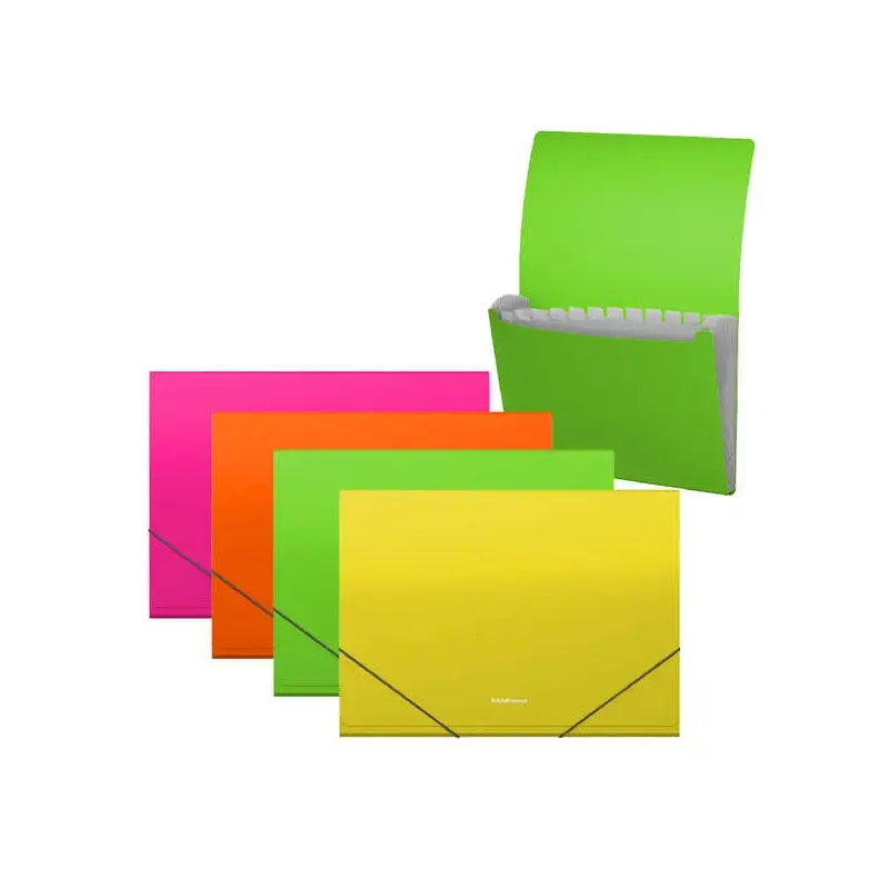 Erichkrause Clasificadores Matt Neon - 12 Fundas - Tamaño A4 - Color Surtidos | Ahorro Imprimiendo