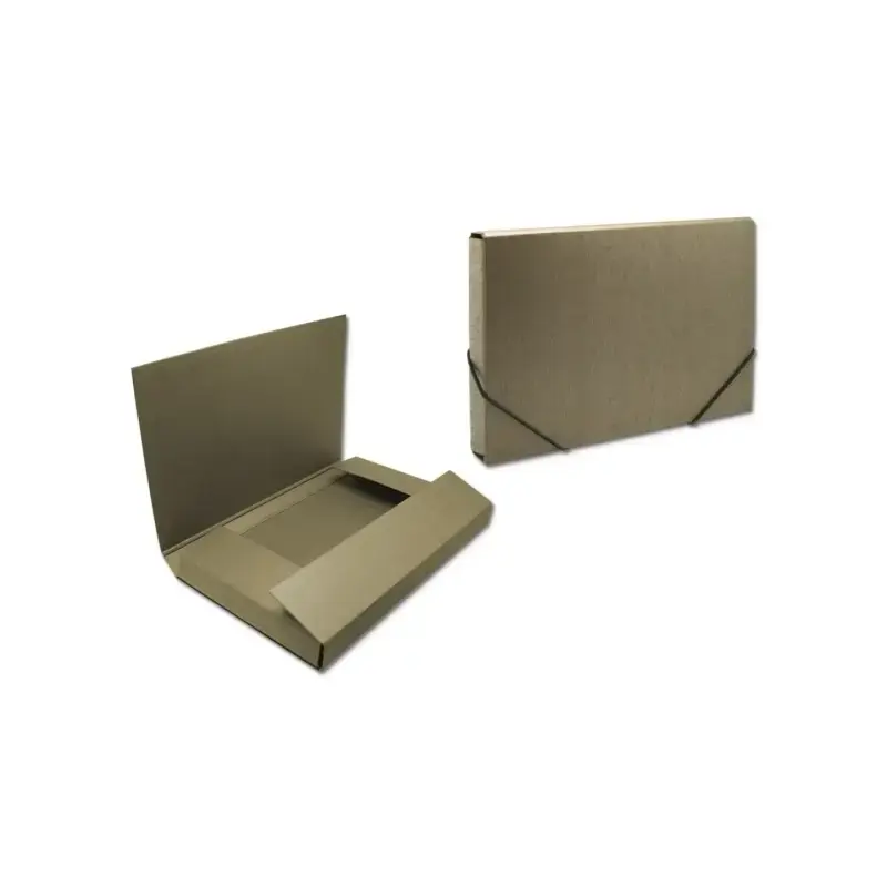 Bismark Carpeta para Proyectos - Medidas 350x230x50mm - Fabricada en Carton - Cierre con Gomas - Color Marron | Ahorro Imprimien