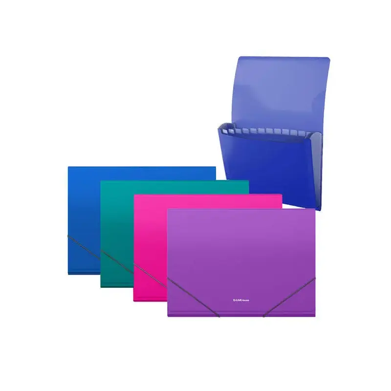 Erichkrause Matt Vivid Carpeta/Clasificador con 12 Fundas A4 - Acabado Mate - Colores Surtidos | Ahorro Imprimiendo