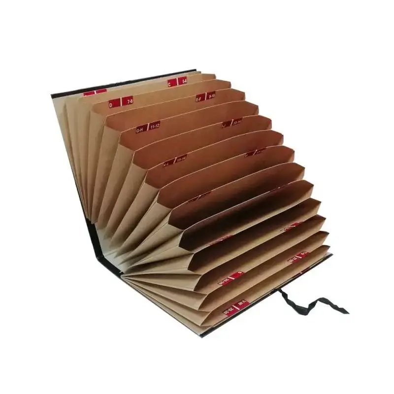 Dohe Carpeta Acordeon Clasificadora 20 Departamentos A-Z y 1-31 - Formato Folio - Carton Forrado - Cierre con Cinta de Tela - Co