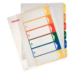 Esselte Indice Proyectos Imprimibles Tipo 1-6 Multicolor - Tamaño A4 Maxi - Material PP Rigido 300 Micras, Portada 350 Micras |