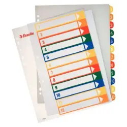 Esselte Indice para Proyectos Imprimible A4 Maxi Tipo 1-12 Multicolor - Multitaladro - Material PP Rigido 300 Micras, Portada 35