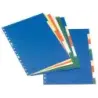 Esselte Separadores Plastico A4 con Cartulina Indice Blanco Negro - 10 Pestañas - Multitaladro - 5 Colores | Ahorro Imprimiendo