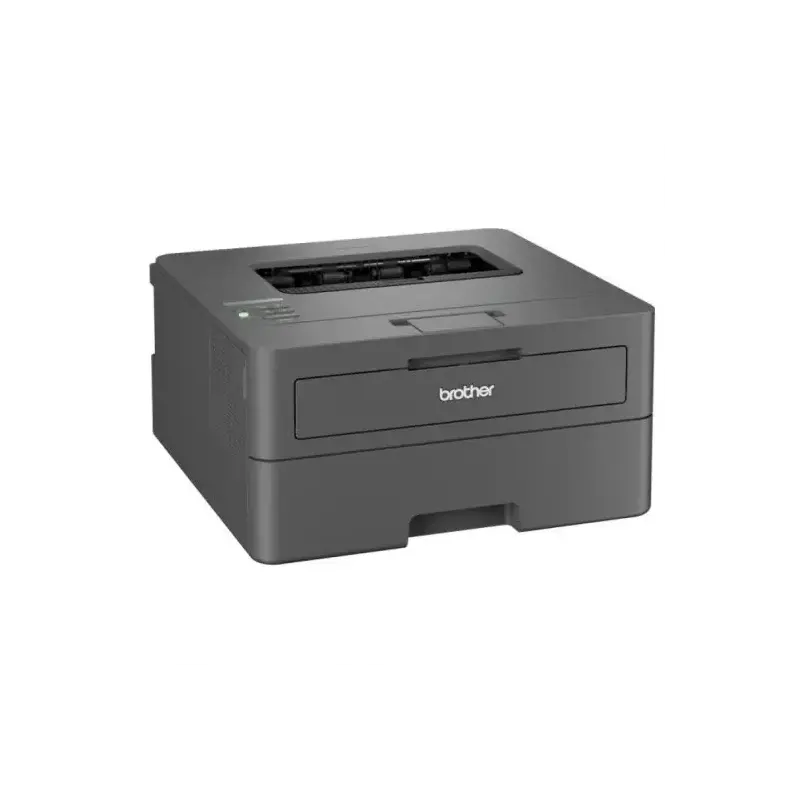 Brother HL-L2400DWE EcoPro Impresora Laser Monocromo Duplex WiFi 30ppm