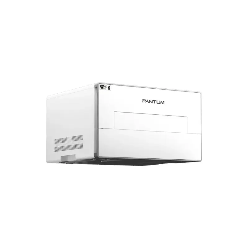 Pantum BP4200DW Impresora Laser Monocromo 33ppm WiFi Duplex Automatico