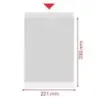 Esselte Pack de 100 Portacarnets 231x330mm 190Q 140 micras - PVC Transparente Acabado Liso | Ahorro Imprimiendo