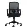 Oqonos Cherg 006 Silla de Oficina Ergonomica con Respaldo de Malla Transpirable, Piston de Gas Clase 4, Soporte Lumbar, Reposabr