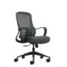 Oqonos Cherg 007 Silla de Oficina Ergonomica con Respaldo de Malla Transpirable, Piston de Gas Clase 4, Soporte Lumbar, Reposabr