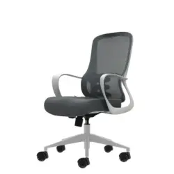 Oqonos Cherg 009 Silla de Oficina Ergonomica con Respaldo de Malla Transpirable, Piston de Gas Clase 4, Soporte Lumbar, Reposabr