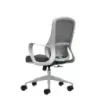 Oqonos Cherg 009 Silla de Oficina Ergonomica con Respaldo de Malla Transpirable, Piston de Gas Clase 4, Soporte Lumbar, Reposabr