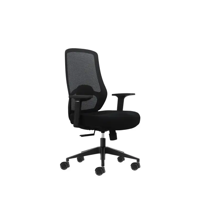 Oqonos Cherg 001 Silla de Oficina Ergonomica con Soporte Lumbar Ajustable en Altura y Profundidad, Respaldo de Malla Transpirabl