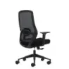 Oqonos Cherg 001 Silla de Oficina Ergonomica con Soporte Lumbar Ajustable en Altura y Profundidad, Respaldo de Malla Transpirabl