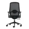 Oqonos Cherg 002 Silla de Oficina Ergonomica con Soporte Lumbar Ajustable en Altura y Profundidad, Respaldo de Malla Transpirabl