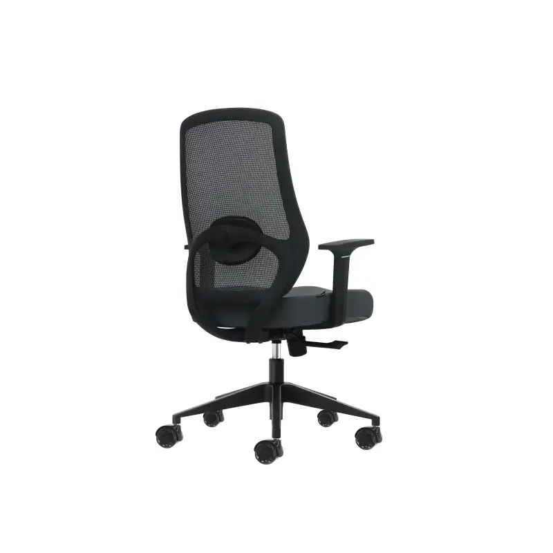 Oqonos Cherg 002 Silla de Oficina Ergonomica con Soporte Lumbar Ajustable en Altura y Profundidad, Respaldo de Malla Transpirabl