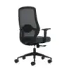 Oqonos Cherg 002 Silla de Oficina Ergonomica con Soporte Lumbar Ajustable en Altura y Profundidad, Respaldo de Malla Transpirabl