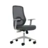 Oqonos Cherg 003 Silla de Oficina Ergonomica con Soporte Lumbar Ajustable en Altura y Profundidad, Respaldo de Malla Transpirabl