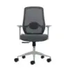 Oqonos Cherg 003 Silla de Oficina Ergonomica con Soporte Lumbar Ajustable en Altura y Profundidad, Respaldo de Malla Transpirabl