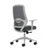 Oqonos Cherg 003 Silla de Oficina Ergonomica con Soporte Lumbar Ajustable en Altura y Profundidad, Respaldo de Malla Transpirabl