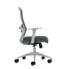 Oqonos Cherg 003 Silla de Oficina Ergonomica con Soporte Lumbar Ajustable en Altura y Profundidad, Respaldo de Malla Transpirabl