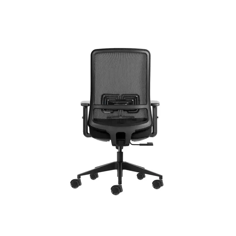 Oqonos Cherg 017 Silla de Oficina Ergonomica con Tejido Impermeable, Mecanismo Autobalanceado, Soporte Lumbar Ajustable, Reposab