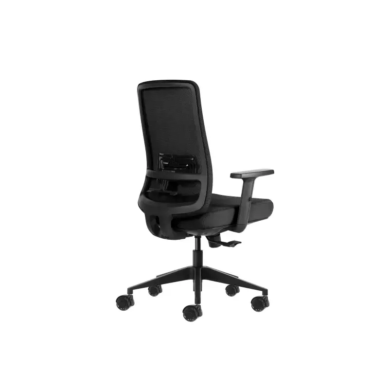 Oqonos Cherg 017 Silla de Oficina Ergonomica con Tejido Impermeable, Mecanismo Autobalanceado, Soporte Lumbar Ajustable, Reposab