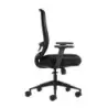 Oqonos Cherg 017 Silla de Oficina Ergonomica con Tejido Impermeable, Mecanismo Autobalanceado, Soporte Lumbar Ajustable, Reposab