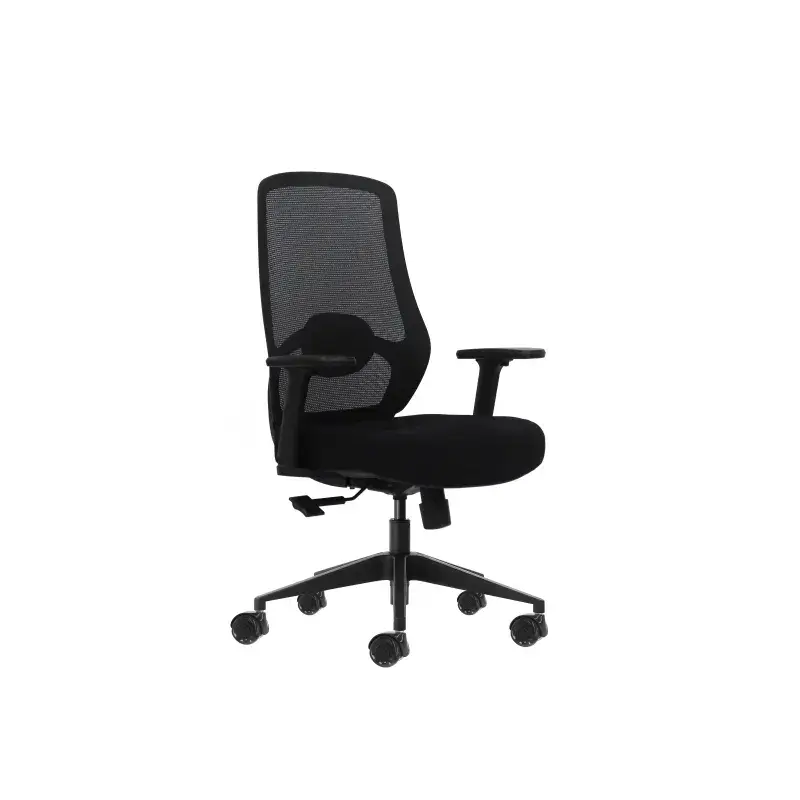 Oqonos Cherg 024 Silla de Oficina Ergonomica con Soporte Lumbar Ajustable en Altura y Profundidad, Reposabrazos 4D, Piston de Ga