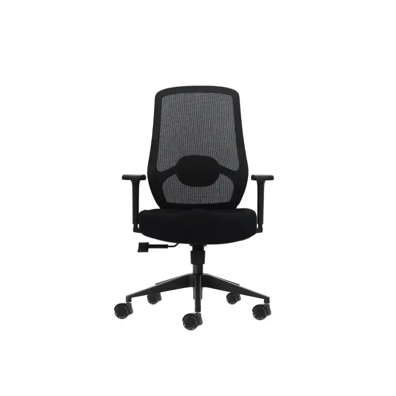 Oqonos Cherg 024 Silla de Oficina Ergonomica con Soporte Lumbar Ajustable en Altura y Profundidad, Reposabrazos 4D, Piston de Ga