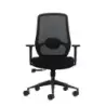Oqonos Cherg 024 Silla de Oficina Ergonomica con Soporte Lumbar Ajustable en Altura y Profundidad, Reposabrazos 4D, Piston de Ga