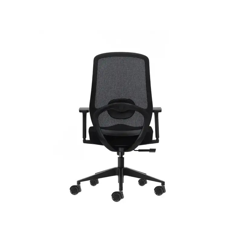 Oqonos Cherg 024 Silla de Oficina Ergonomica con Soporte Lumbar Ajustable en Altura y Profundidad, Reposabrazos 4D, Piston de Ga