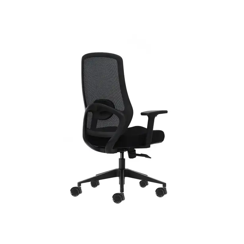 Oqonos Cherg 024 Silla de Oficina Ergonomica con Soporte Lumbar Ajustable en Altura y Profundidad, Reposabrazos 4D, Piston de Ga