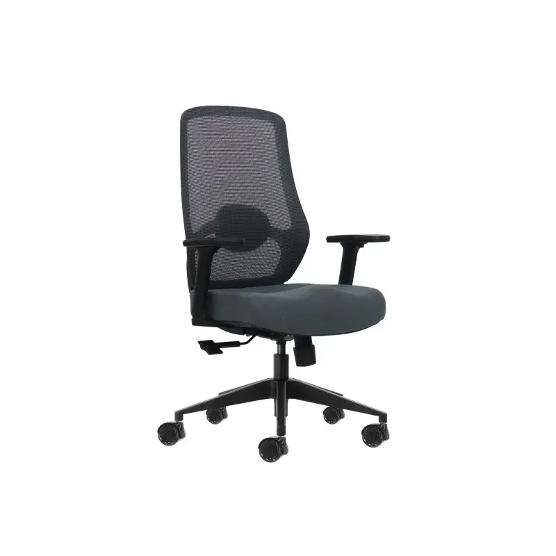 Oqonos Cherg 025 Silla de Oficina Ergonomica con Soporte Lumbar Ajustable en Altura y Profundidad, Reposabrazos 4D, Piston de Ga