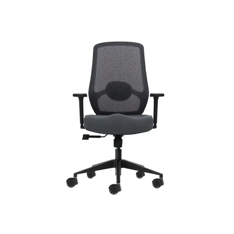 Oqonos Cherg 025 Silla de Oficina Ergonomica con Soporte Lumbar Ajustable en Altura y Profundidad, Reposabrazos 4D, Piston de Ga
