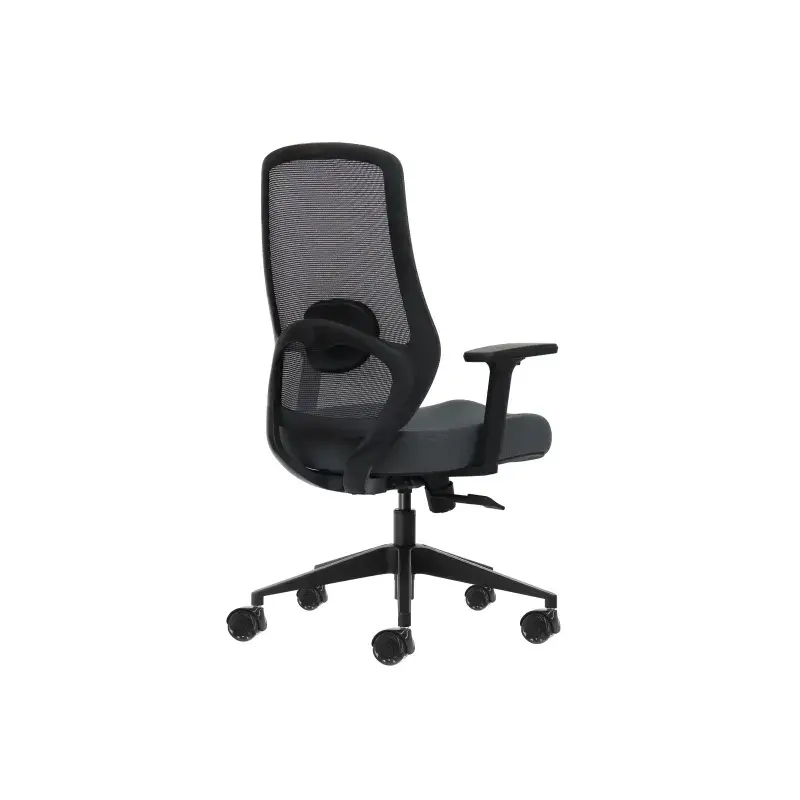 Oqonos Cherg 025 Silla de Oficina Ergonomica con Soporte Lumbar Ajustable en Altura y Profundidad, Reposabrazos 4D, Piston de Ga