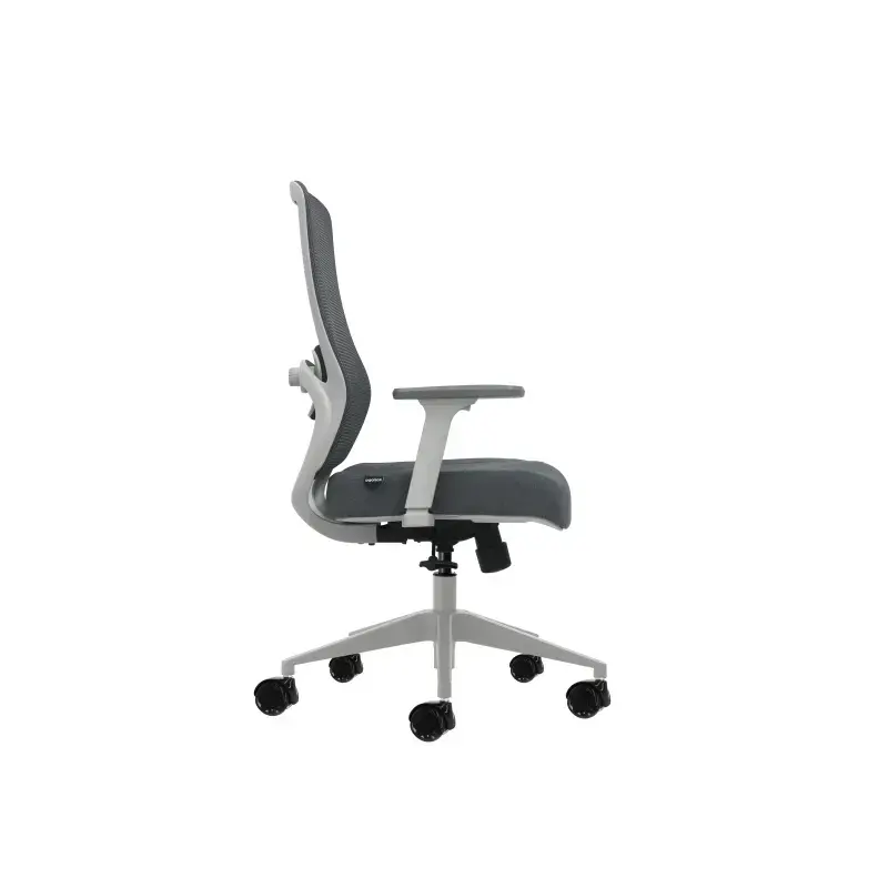 Oqonos Cherg 026 Silla de Oficina Ergonomica con Soporte Lumbar Ajustable en Altura y Profundidad, Reposabrazos 4D, Piston de Ga