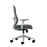 Oqonos Cherg 026 Silla de Oficina Ergonomica con Soporte Lumbar Ajustable en Altura y Profundidad, Reposabrazos 4D, Piston de Ga