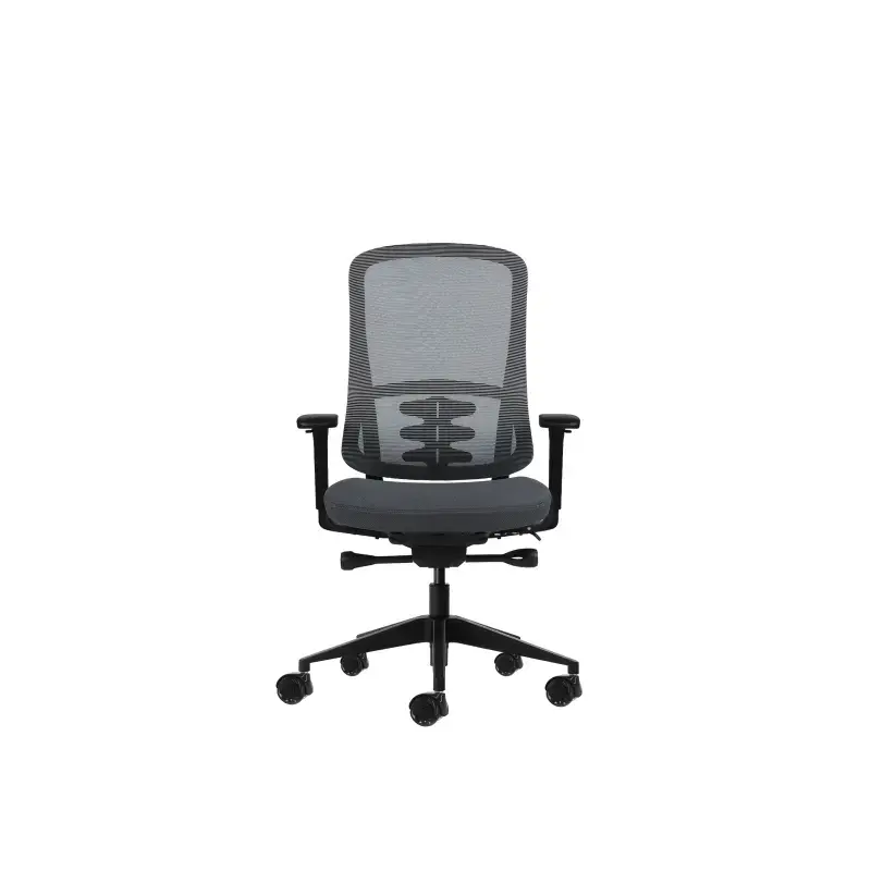 Oqonos Cherg 020 Silla de Oficina Ergonomica con Mecanismo Autobalanceado, Reposabrazos 4D, Asiento Deslizable y Ruedas de Silic