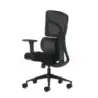 Oqonos Cherg 012 Silla de Oficina Ergonomica con Respaldo y Asiento de Malla Elastica, Reposabrazos 4D, Asiento Deslizable Ergon