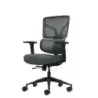 Oqonos Cherg 013 Silla de Oficina Ergonomica con Respaldo y Asiento de Malla Elastica, Reposabrazos 4D, Asiento Deslizable Ergon