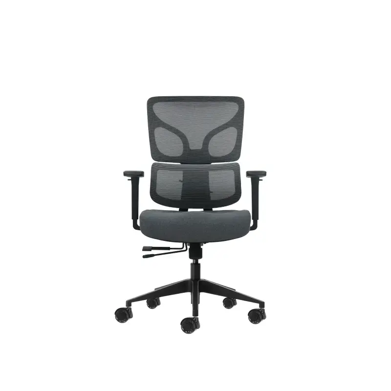 Oqonos Cherg 013 Silla de Oficina Ergonomica con Respaldo y Asiento de Malla Elastica, Reposabrazos 4D, Asiento Deslizable Ergon