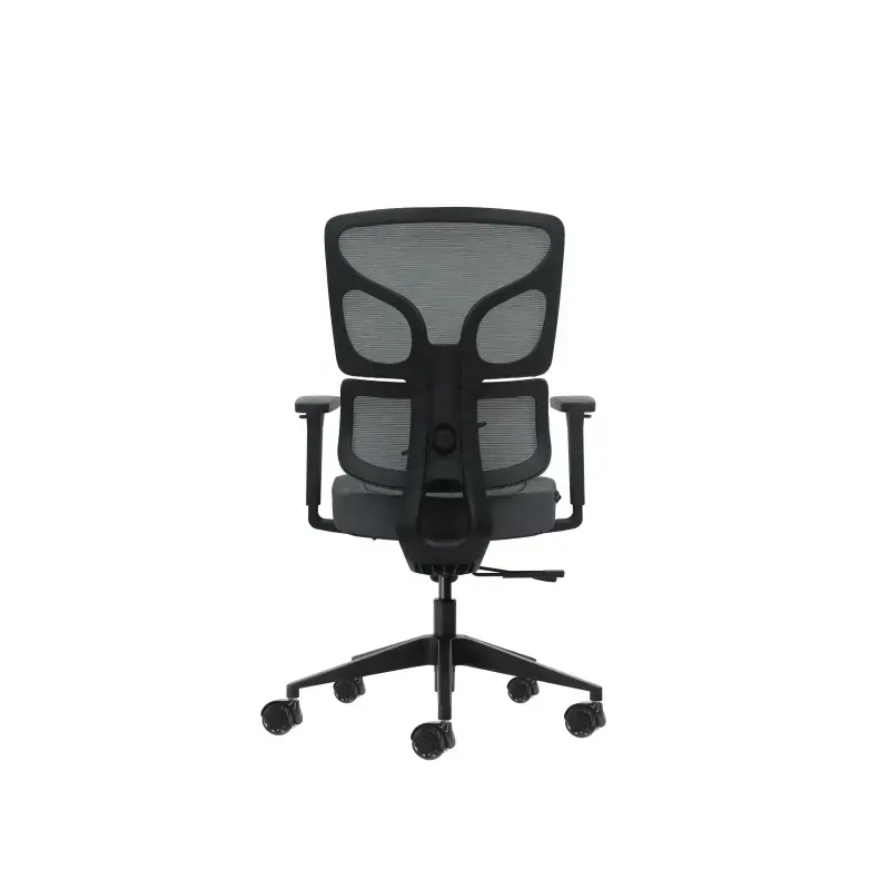 Oqonos Cherg 013 Silla de Oficina Ergonomica con Respaldo y Asiento de Malla Elastica, Reposabrazos 4D, Asiento Deslizable Ergon