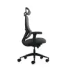 Oqonos Cherg 019 Silla de Oficina Ergonomica con Reposacabezas Cervical Ajustable, Mecanismo Autobalanceado, Reposabrazos 4D, As