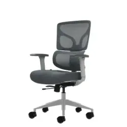 Oqonos Cherg 015 Silla de Oficina Ergonomica con Respaldo y Asiento de Malla Elastica, Reposabrazos 4D, Asiento Deslizable Ergon