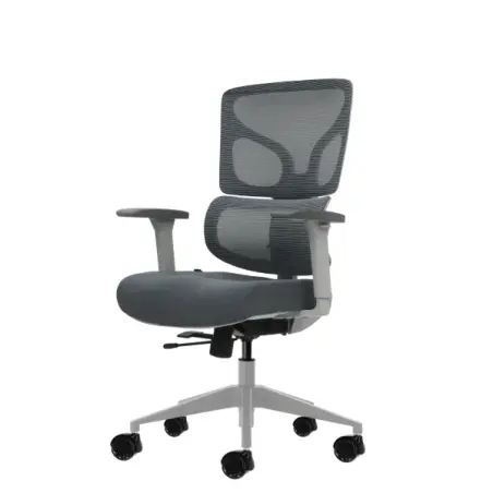 Oqonos Cherg 015 Silla de Oficina Ergonomica con Respaldo y Asiento de Malla Elastica, Reposabrazos 4D, Asiento Deslizable Ergon