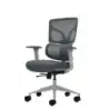 Oqonos Cherg 015 Silla de Oficina Ergonomica con Respaldo y Asiento de Malla Elastica, Reposabrazos 4D, Asiento Deslizable Ergon