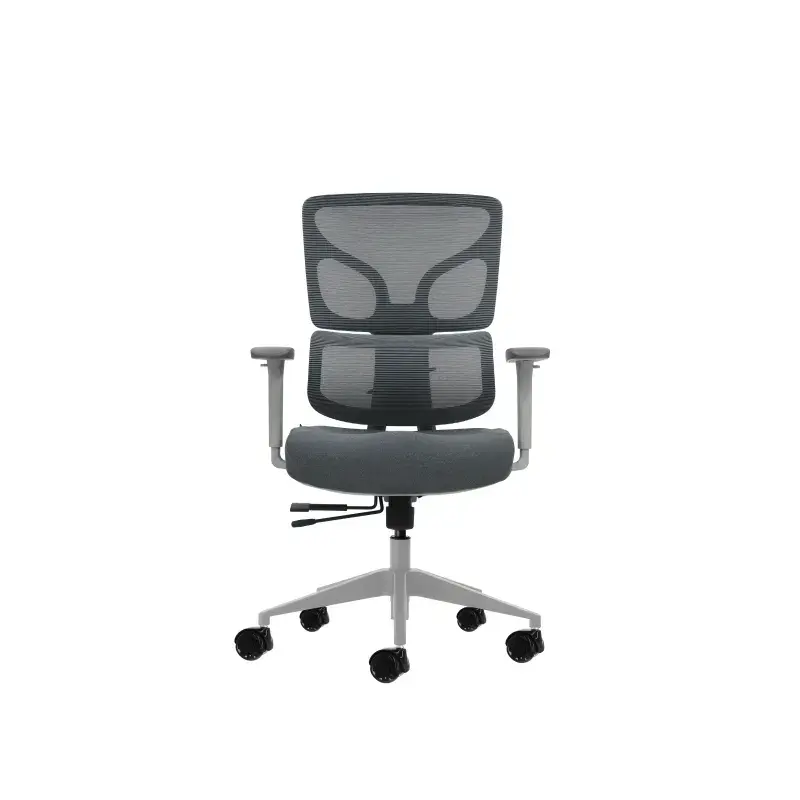 Oqonos Cherg 015 Silla de Oficina Ergonomica con Respaldo y Asiento de Malla Elastica, Reposabrazos 4D, Asiento Deslizable Ergon
