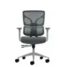 Oqonos Cherg 015 Silla de Oficina Ergonomica con Respaldo y Asiento de Malla Elastica, Reposabrazos 4D, Asiento Deslizable Ergon