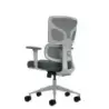 Oqonos Cherg 015 Silla de Oficina Ergonomica con Respaldo y Asiento de Malla Elastica, Reposabrazos 4D, Asiento Deslizable Ergon
